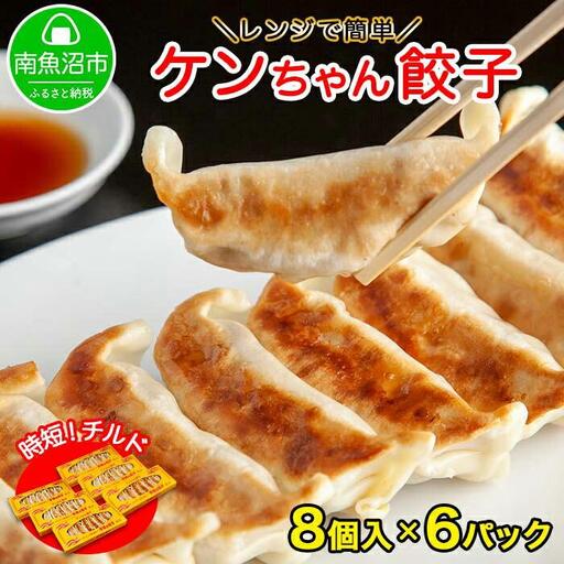 新潟県 南魚沼市 チルド手焼き餃子 8個入り × 6パック 計48個 ケンちゃん餃子 冷蔵 中華 点心 惣菜 ビール お取り寄せ グルメ 12,160円