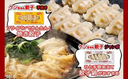 新潟県 南魚沼市 チルド手焼き餃子・ジャンボ餃子 食べ比べ セット 各3パック 計42個 ケンちゃん餃子 冷蔵 中華 点心 惣菜 ビール お取り寄せ グルメ