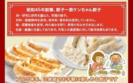 新潟県 南魚沼市 チルド手焼き餃子・ジャンボ餃子 食べ比べ セット 各3パック 計42個 ケンちゃん餃子 冷蔵 中華 点心 惣菜 ビール お取り寄せ グルメ