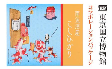 南魚沼産こしひかり 真空パック 300g×10袋 東京国立博物館コラボレーションパッケージ