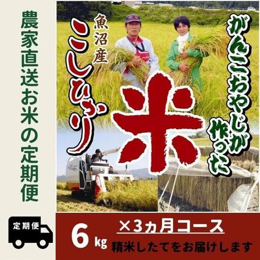 【令和７年産】３か月定期便　がんこおやじが作った南魚沼産コシヒカリ白米６kg（３kg×２袋）