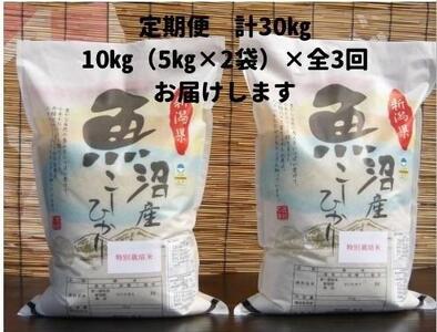 【令和７年産】３か月定期便　がんこおやじが作った南魚沼産コシヒカリ白米１０kg（５kg×２袋）