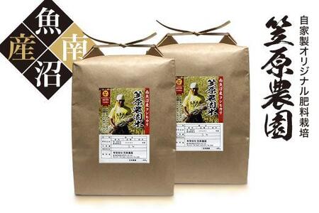 令和６年産千葉県天羽産 コシヒカリ 玄米 29kg 令和6年産千葉県天羽産 コシヒカリ 玄米 29kg