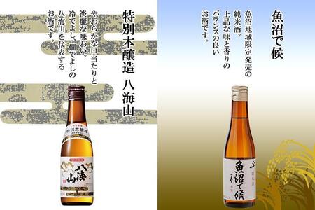 八海山 日本酒 5選 飲み比べ セット お酒 南魚沼市