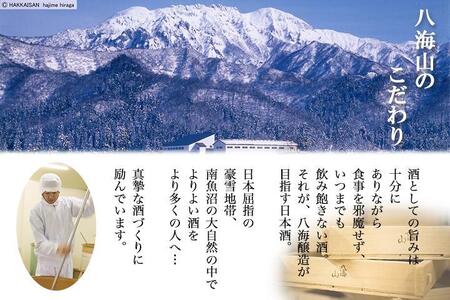八海山 梅酒 2選 飲み比べ セット 各720ml 南魚沼市【2026年1月より順次発送予定】