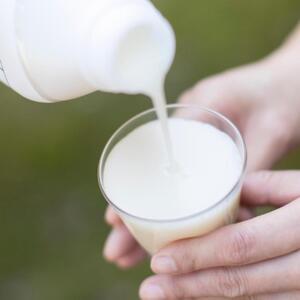 【頒布会】【八海山　麹だけでつくったあまさけ118g×30本】×全12回