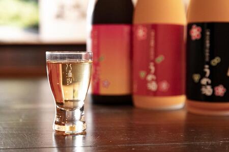 越後の名酒「八海山」バラエティセットA