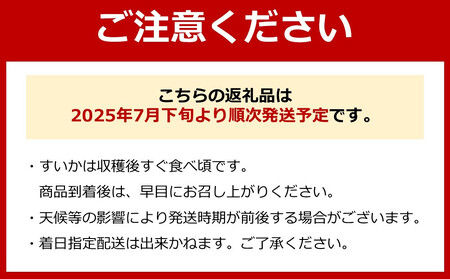 八色原西瓜 大玉2玉
