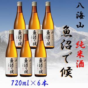 【魚沼地域限定】純米酒 八海山「魚沼で候」720ml×6(化粧箱付き) 11,248円