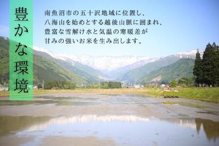 【R7年産】最高金賞 南魚沼産コシヒカリ 白米5kg×2 もっちり甘い！ ひらくの里ファーム