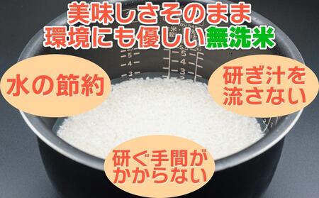 JAみなみ魚沼定期便】南魚沼産こしひかり無洗米（2kg×2袋×全12回