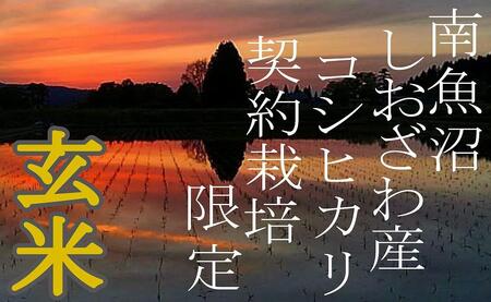 【令和7年産】【定期便2Kg×3ヶ月】●玄米● 生産者限定 南魚沼しおざわ産コシヒカリ