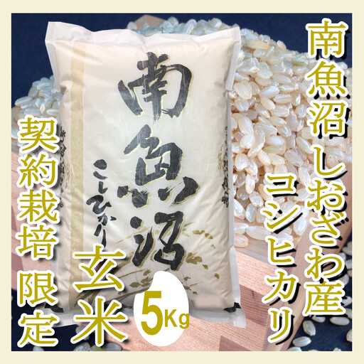 【令和7年産】【定期便5Kg×6ヶ月】●玄米● 生産者限定 南魚沼しおざわ産コシヒカリ【2025年10月上旬より順次発送予定】