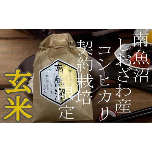 【令和7年産】【定期便6Kg×12ヶ月】●玄米● 生産者限定 南魚沼しおざわ産コシヒカリ【2025年10月上旬より順次発送予定】
