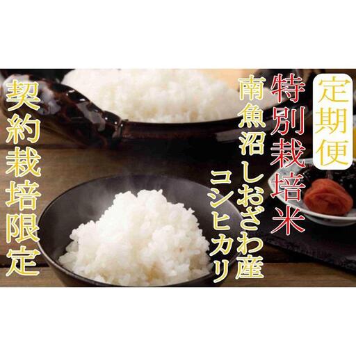 【令和7年産】※定期便：15Kg×12ヶ月※特別栽培 生産者限定  南魚沼しおざわ産コシヒカリ【2025年10月上旬より順次発送予定】