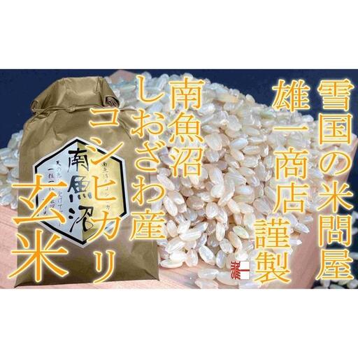 【令和7年産】●玄米● 【定期便10Kg×3ヶ月】 生産者限定 南魚沼しおざわ産コシヒカリ【2025年10月上旬より順次発送予定】