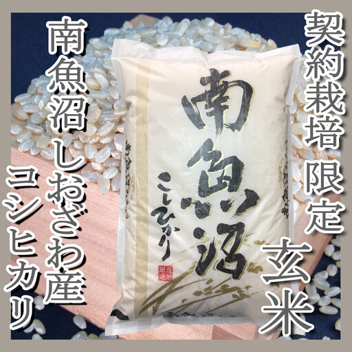 【令和7年産】●玄米● 【定期便15Kg×3ヶ月】 生産者限定 南魚沼しおざわ産コシヒカリ【2025年10月上旬より順次発送予定】