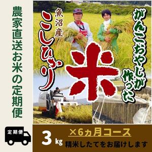 【6か月定期便】がんこおやじが作った南魚沼産コシヒカリ白米3kg