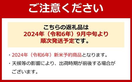 【令和6年産 新米予約】南魚沼産コシヒカリ（無洗米）【2kg】【令和6年9月中旬より順次発送予定】