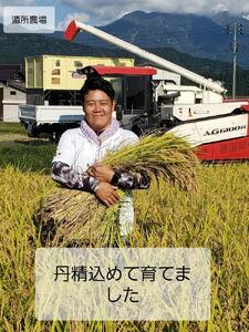 【お米定期便/全１２回】南魚沼産コシヒカリ　　無洗米５ｋｇ