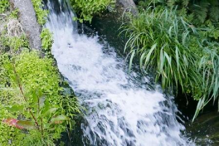 【R7年産】南魚沼産コシヒカリ精米10kg 山本家【従来品種】