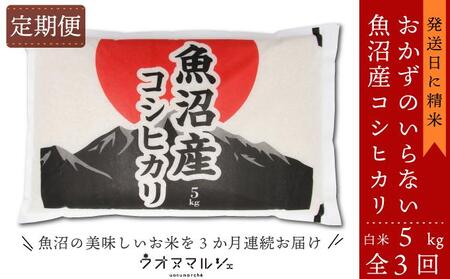 【お米定期便/全3回】 おかずのいらない 魚沼産コシヒカリ 白米5kg