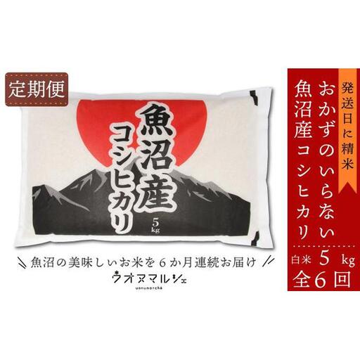 【令和７年産】【お米定期便/全６回】 おかずのいらない 魚沼産コシヒカリ　白米５ｋｇ