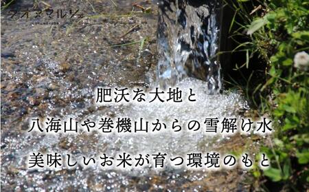 【令和7年産新米】【お米定期便/全12回】 おかずのいらない 魚沼産コシヒカリ 白米5kg