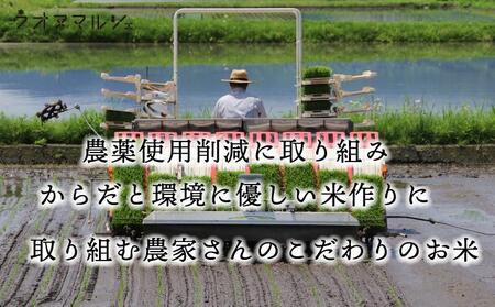 【お米定期便/全１２回】 おかずのいらない 魚沼産コシヒカリ　白米１０ｋｇ