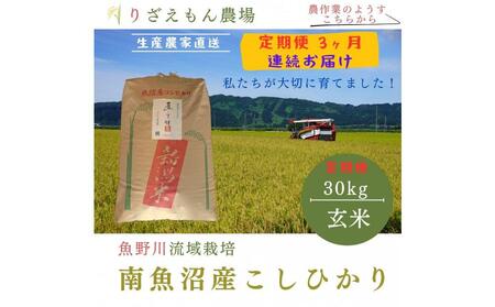 合計90kg】令和5年度 新潟県産コシヒカリ玄米30キロ×3-