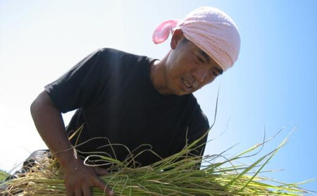 【定期便】【令和7年産】南魚沼産 コシヒカリチャック付き(白米2kg×全6回) | 米