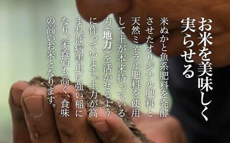 【令和7年産】南魚沼産 笠原農園米 コシヒカリ2合真空パック20個 【簡易包装】