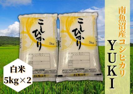 【令和4年産】【新米】南魚沼産コシヒカリ「YUKI」(白米5kg×2袋)