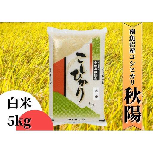 【令和7年産】南魚沼産コシヒカリ「秋陽」（白米5kg）新潟県の特A地区南魚沼市の美味しいお米