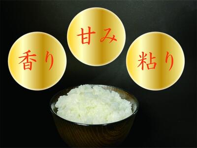 【令和7年産】【定期便 南魚沼産】コシヒカリ 白米5kg×6回