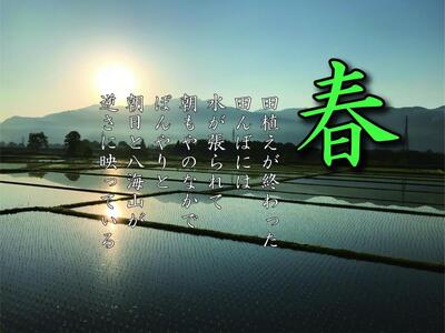 【令和7年産】【定期便 南魚沼産】コシヒカリ 白米5kg×6回