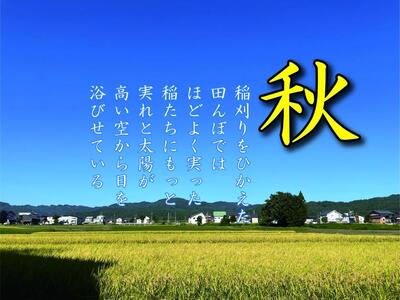 【令和7年産】【定期便 南魚沼産】コシヒカリ 白米5kg×6回