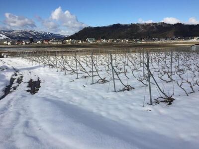 カベルネ・ソービニヨンの辛口スパークリングワイン 2本セット