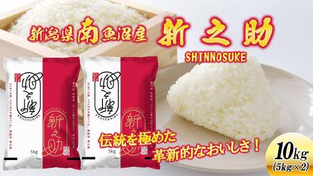 【新米】令和６年産新潟県南魚沼産新之助10kg