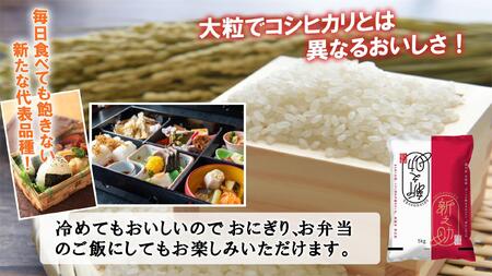 【新米】令和６年産新潟県南魚沼産新之助10kg