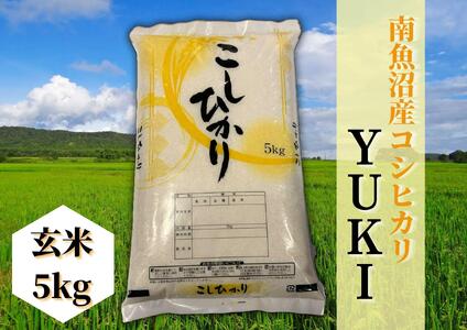 令和4年産】南魚沼産コシヒカリ「YUKI」(玄米5kg)×全12回 | 新潟県