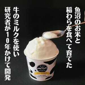 フレミンジェラート｜ 110mlカップ詰合せ ８個（ミルク４・オレンジ２・乳酸菌2）