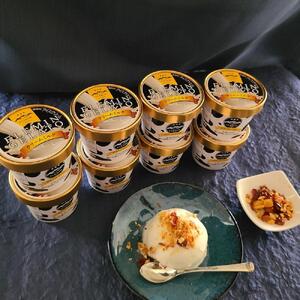 フレミンジェラート|ミルク味(110ml×8個) と ピーナッツのプラリネ(65g×1袋)グランプリ受賞品