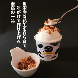 フレミンジェラート|ミルク味(110ml×8個) と ピーナッツのプラリネ(65g×1袋)グランプリ受賞品
