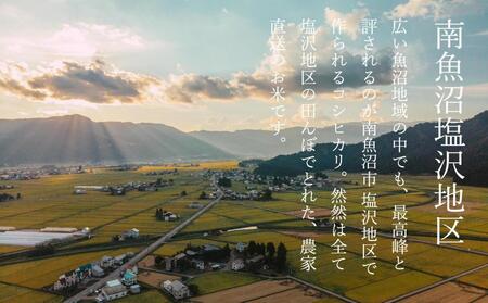 【令和7年産】【定期便】南魚沼塩沢産コシヒカリ「然然」　農薬5割減栽培　精米10kg（5kg x 2） x 全6回
