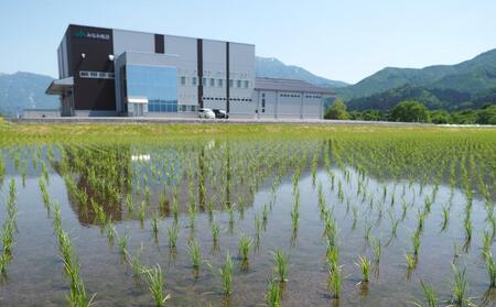 令和5年産】特別栽培米南魚沼産こしひかり「雪穂」玄米5kg | 新潟県