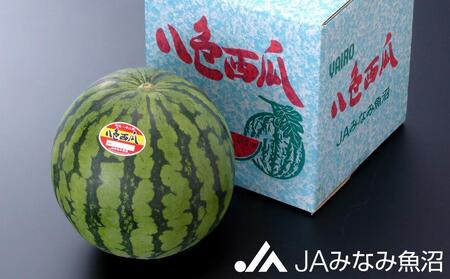 【期間限定】八色西瓜（大玉 Lサイズ) ×1玉