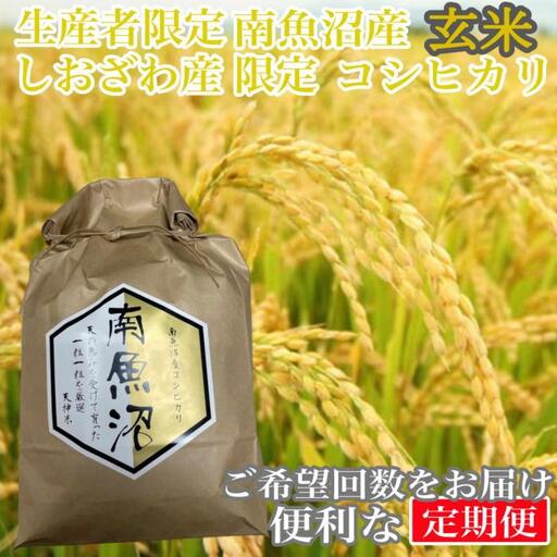 【令和7年産】【定期便15kg×9ヶ月】玄米 しおざわ産限定 生産者限定 南魚沼産コシヒカリ【2025年10月上旬より順次発送予定】