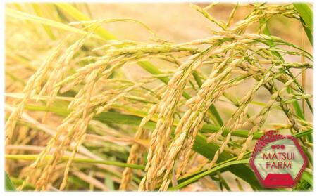 【令和6年産新米予約】【無洗米】南魚沼産コシヒカリ~特別栽培米~（10ｋｇ）