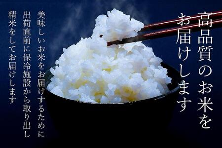 定期便隔月お届け令和6年産新米予約】南魚沼食味コンクール3年連続優秀賞 塩沢地区限定米5kg×6回 南魚沼塩沢産コシヒカリ | 新潟県南魚沼市 |  ふるさと納税サイト「ふるなび」